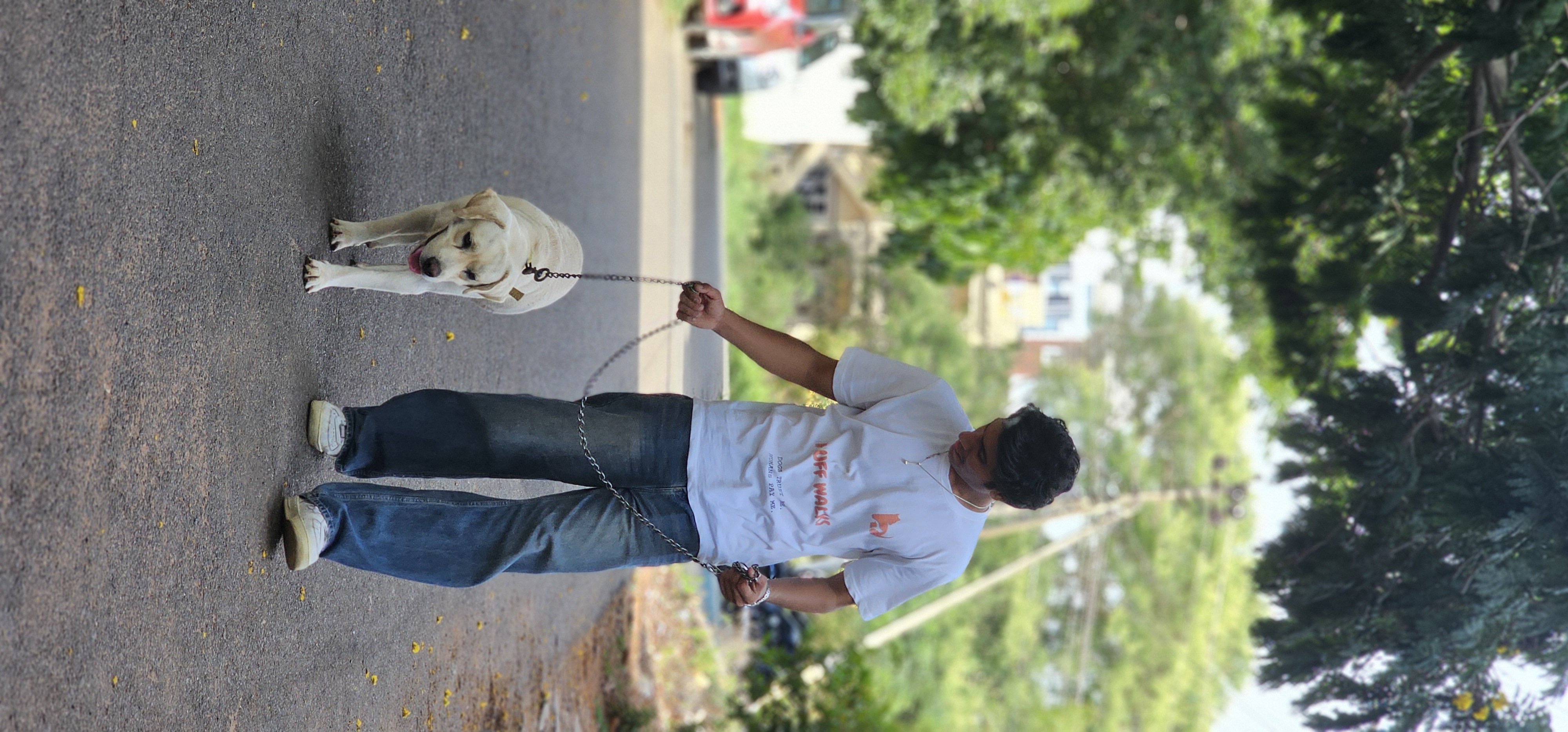 Walker with dog