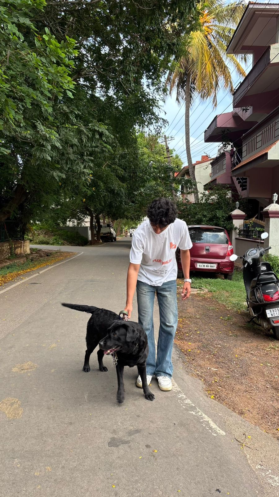 Cute pet